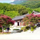 밀양 옥류동천 물소리와 함께 걷는 4km 생태탐방로 &amp; 흑룡폭포 전망대 이미지
