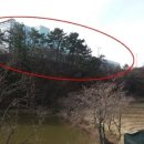 (주)청호씨푸드 이미지