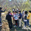 임실농장 이미지