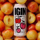 GS25 회룡광장점 | 도수낮은술을 찾는다면 BTS진과 함께하는 GS 편의점 하이볼 아이긴(IGIN) 새콤토닉