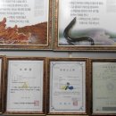 백세건강원 이미지