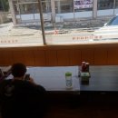 독도참가자미 이미지