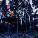 자연의집 이미지