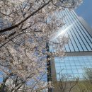 세지로 39번길 10-4 | [W.8] 더링크호텔 4월 화이트홀 리뉴얼 후 첫 본식 시간대별 상세 후기