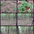 이재구농장 이미지