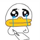 상근농장 | 그간의 일들