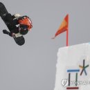 PARROT KOREA 이미지