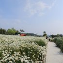 오늘여기 이미지