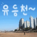 [0630벙개]유등천다리밑™꼬기 이미지