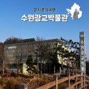 동신대학교 문화박물관(휴관) | 수원 광교 혼자 가볼만한 광교박물관 방문후기