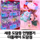 더플레이샵 | 세종인형뽑기 더플레이 도담점 키링 뽑은 후기