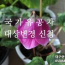 행정사김덕수 이미지