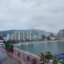 남천1-301 네이버블로그