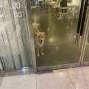 OHT(오해트) 네이버블로그