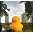 산성대로97번길 이미지