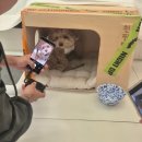 홈베이킹(야간) | 청양 스파이시 투어 2기 후기: 디저트 원데이 클래스, 야간 칠갑산 트레킹