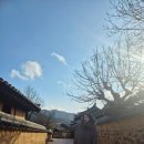 안동 3박 4일 여행 (1)_월영호텔, 하회 마을, 카페 오묘한 인식, 골목안손국수