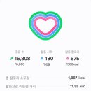 동해항1길,송정로-L | 내일로 여행기 ✧ 여자 혼자 떠나는 뚜벅이 기차 여행 5일차 「동해」