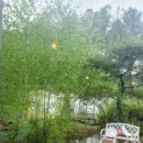 엠블럭 카페 이미지