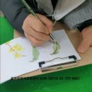 보태니컬 아트(기초) 이미지