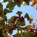 이명은 농장 이미지