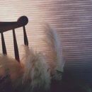 소롱코지 이미지