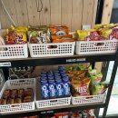 자연농장 | 🏕️ 대구 군위군 글램핑장 추천, 뷰가 정말 좋았던 “자연닮은치유농장” 후기