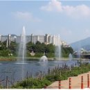 신천 이미지