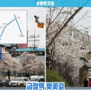 거북세탁소 이미지