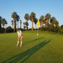 시에스코 이미지