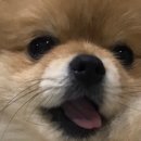 더공감 행정사 사무소 이미지