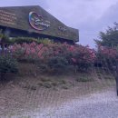 영천솔롱고글램핑 이미지