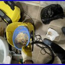 군산 누수&하수 이미지