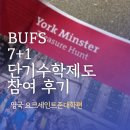 융합스토리 수학 | BUFS 7+1 단기수학제도 참여 후기 영국 요크세인트존대학편!
