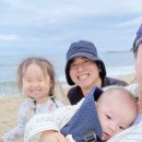 테라머뭄 이미지