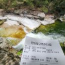 물결그림 이미지