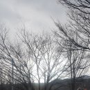 한일공인 행정사사무소 이미지