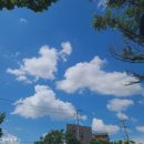 마전카센타 | 전주 신시가지 소고기 : 한우맛집) 안심농장, 후식까지 맛있는 후기