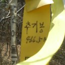 옥산면사무소 이미지