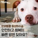 마이펫 동물병원 이미지