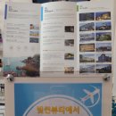 썬헤어라인 이미지