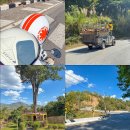 코끼리주유소 | 태국 치앙마이 빠이 여행 오토바이 드라이브 렌트