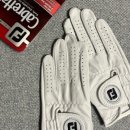 마이골프(MY GOLF) 이미지