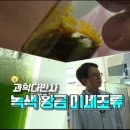 인셀덤보타랩 전혜연