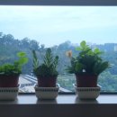 백미경꽃누르미공방 이미지