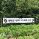 왕촌 이미지