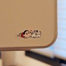 옥희농장 | 제주 서귀포 기념품샵 강아지용품 소품샵 춘식이와 옥희