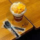 설빙대구경북대점 | 설빙 컵빙수 내돈내산 후기ㅣ애플망고치즈 컵설빙