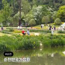 명당연향 | 순천만국가정원 주차 입장료 동물원 스카이큐브 꿀팁 위주로