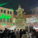 롯데쇼핑(주) 롯데아울렛 파주점 | 파주롯데아울렛 연말 트리 오로라쇼 공연시간 가이드 아기랑 강아지 애견동반 꿀팁